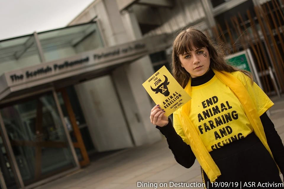 10 Questions You’ve Always Wanted to Ask an Activist